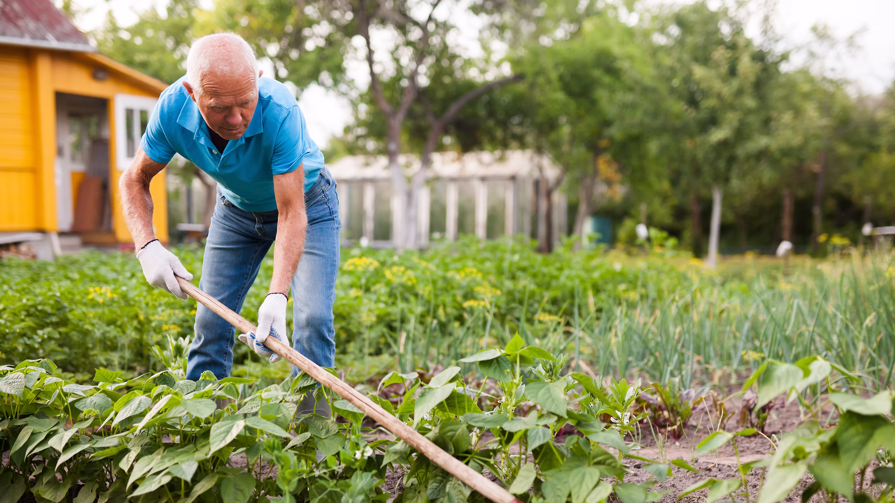 Community gardening in Butte County